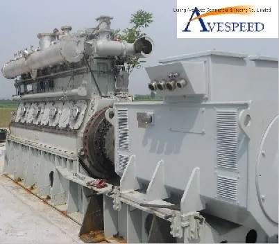 1000kw Biomass Gasification Generator Set with Energy From Waste 