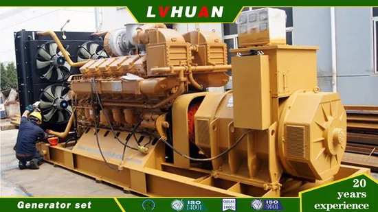 CE Approved Cow Waste Biogas Generating Set 20