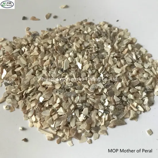 Polished Mother of Pearl Seashell Chips Mop 