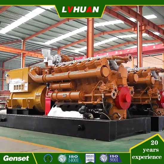 Low Consumption Biogas Generator Set by Pine Wood/City Waste 