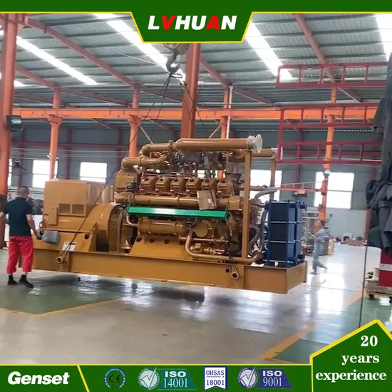 CE & ISO Cow Waste Biogas Generating Set 100