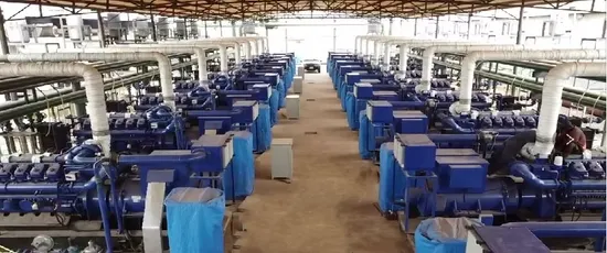 Animal Waste Biogass Engine CNG Household Set 
