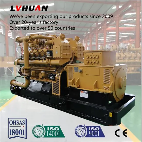 Waste Water Treatment / Animal Dungs Biogas Generator Set 
